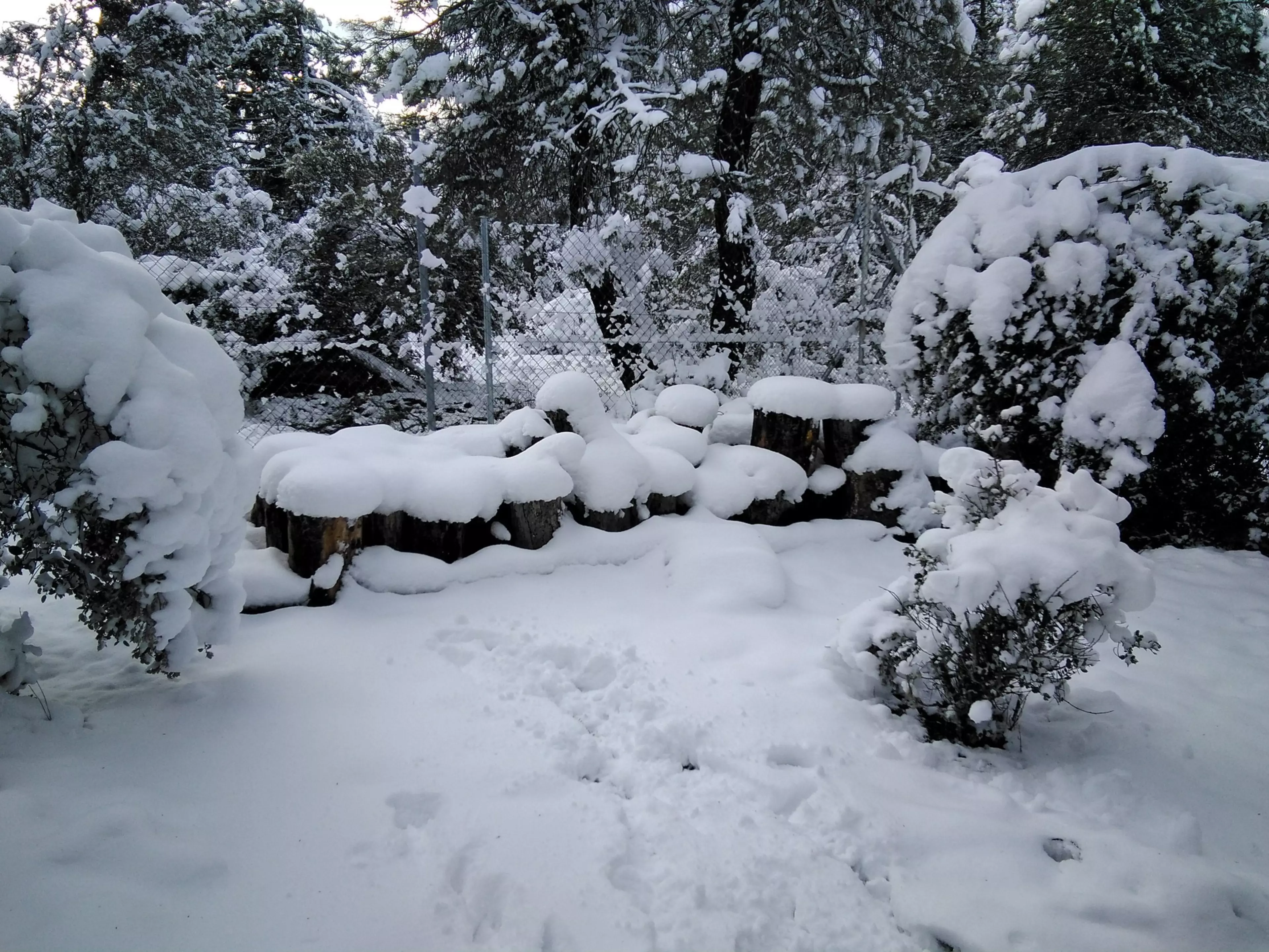 snow